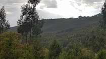 City tour of Addis, Transit in Addis by car