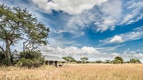 5 Days Serengeti Migration Safari
