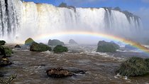Private transport with guide to Brazil Falls + Bird Park