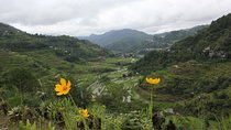Shared 4 Days 3 Nights Banaue and Sagada Tour Package 