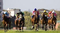 Kenilworth Raceday Tour