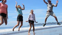Discover Point Reyes natural wonders and ancient redwoods all-inclusive 
