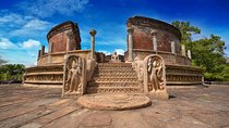 Polonnaruwa Ancient Kingdom and Wild Elephant Safari from Kandy