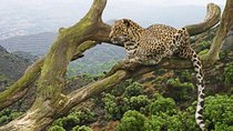 5 Days Tanzania Big Five Camping | Lodge Safari
