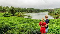 Wild South: Full-Day tour incl Rhumerie St Aubin, Bois cheri Tea factory & Lunch