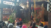 Full Day Ubud and Kintamani Tour