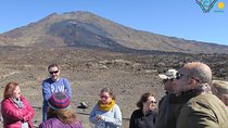 Trekking, wineries, birdwatching, local gastronomy, etc.