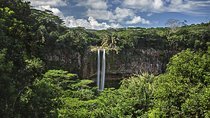 Exotic South: Journey into the Nature (Full-Day Tour incl Lunch & Ebony Forest) 