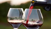 Wine Tour in Kakheti, Telavi town, Georgia 