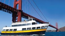 Bus & Boat Adventure