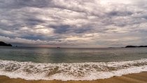 Samara to from Tamarindo Private Shuttle (1-6 px)