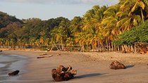 Samara to from Manuel Antonio Private Shuttle (1-6 px)