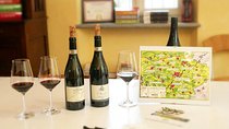 Visit among vineyards and wine cellar with wine tasting in Nizza Monferrato