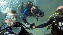 Double Shore Dive (certified divers)
