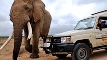 Addo Elephant National Park from Port Elizabeth - FD01