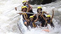 Full-Day Ayung River White Water Rafting and Ubud Tour