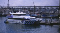 Cape town private, Robben Island and Table Mountain Tour 