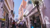 Exploring Capri and Anacapri from Rome: Sea and City Day Trip