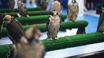 Private One-day Abu Dhabi Highlight Tour From Dubai With Lunch