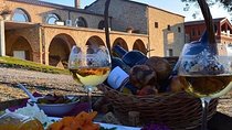 Wine tasting and Olive Oil in Tirana Surroundings