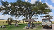 3 Days Tanzania Lodge Safari