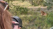 Ol Pejeta, Sweet Waters Chimpanzee Sanctuary and lion tracking safari