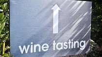 The Constantia Wineland