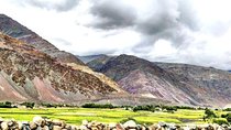 Ananuri-Gudauri-Kazbegi Full Day 