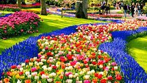 Keukenhof Skip-the-line Tickets: Countryside & Farm Private Tour