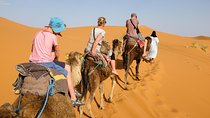 From marrakech: zagora overnight