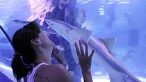 Antalya Tunnel Aquarium - Departure from Side