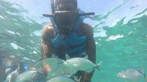 Snorkeling Catamaran Tour & Parasailing