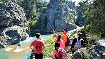 Half-day Hike & Picnic with Dog Love in Porto's Mountains