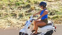 Single Passenger Moped/Scooter - 18+ NO Motorcycle License Needed