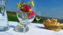 The wine route by bike - two day trip