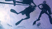 Learn to Dive | RAID Open Water 20 Diver Course | Kota Kinabalu