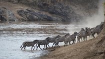 3 Days Serengeti National Park from Zanzibar
