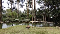 Antón Valley Tour from Panama City Nature,Waters