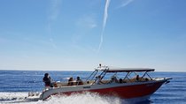 Private Transfer by Speedboat from Split Airport to Hvar 