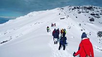 Climbing Kilimanjaro via Machame Route 7 Days (most famous and adventurous)