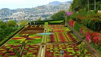 Private Half day tour around Madeira Island