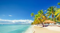Full-Day Excursion in Saona Island
