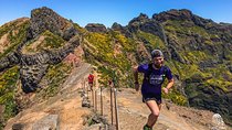 The Peaks Quest Running Tour (Moderate-Hard)
