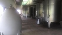 Half Day Tour to Undurraga Winery, Santiago de Chile