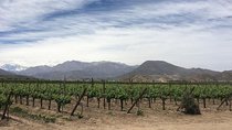 Aconcagua Valley