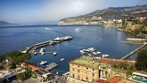 Positano Sorrento and Pompeii from Naples by Private Mercedes Van