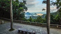 Tijuca forest with snack