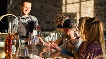 Private Wine Tour of the vineyards on the French Riviera