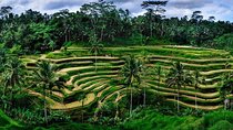 Fantastic Ubud Tour with Jungle Swing