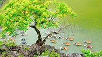 Best Service - Hoa Lu -Trang An - Mua Cave Limousine - All Inclusive